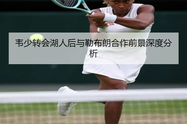 韦少转会湖人后与勒布朗合作前景深度分析